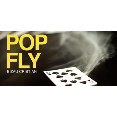 Pop Fly by Bizau Cristian video DOWNLOAD-41926