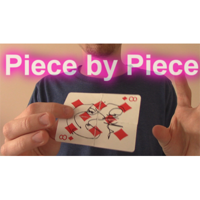 Piece by Piece by Aaron Plener - Video DOWNLOAD-42368