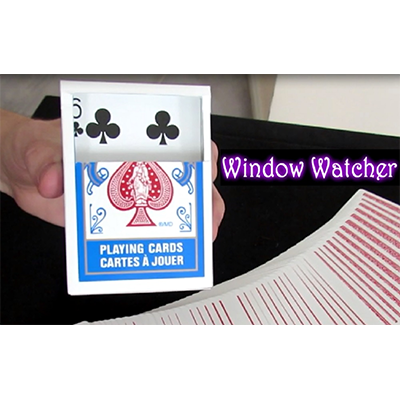 Window Watcher by Aaron Plener - Video DOWNLOAD-42379