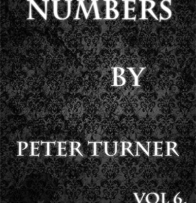 Numbers (Vol 6) by Peter Turner eBook DOWNLOAD